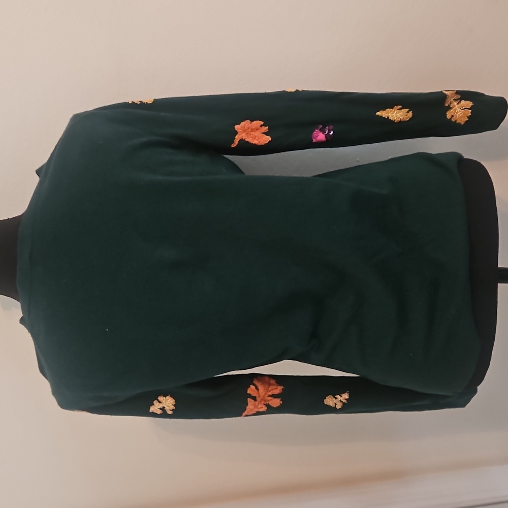 Talbots Fall Sweater - Picture 5 of 10